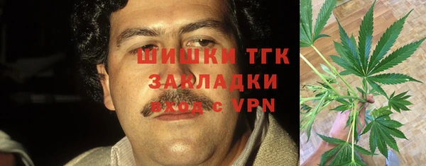 Альфа ПВП Алзамай