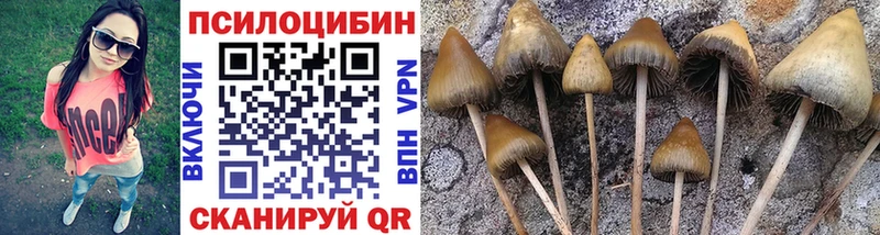 Псилоцибиновые грибы GOLDEN TEACHER  дарнет шоп  Пошехонье 